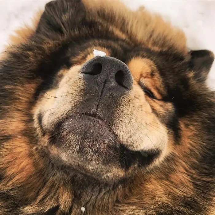 Sonriendo a la semana