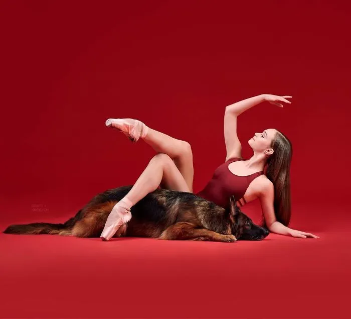 Ballet Dancers And Dogs Pose Together For A Photoshoot And The Result Will Make Your Day (40 Pics)