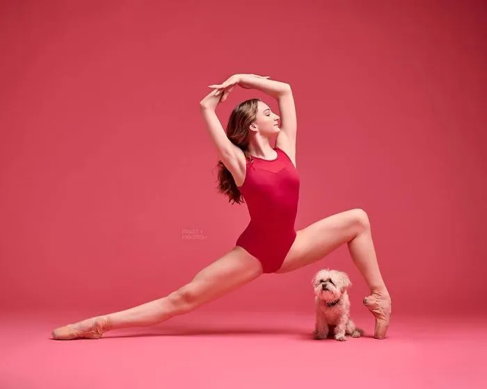 Ballet Dancers And Dogs Pose Together For A Photoshoot And The Result Will Make Your Day (40 Pics)