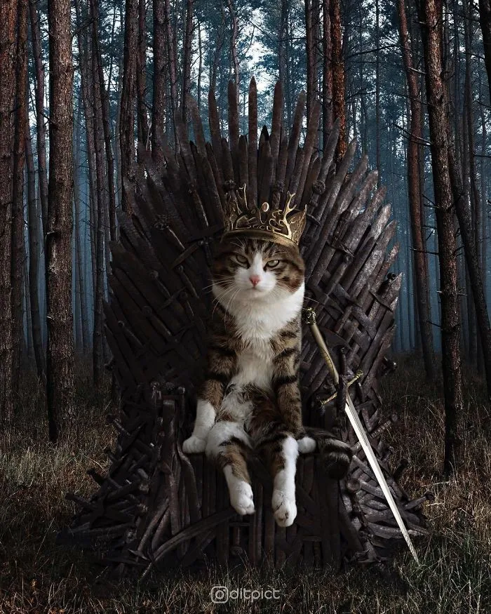 Indonesian Digital Artist Aditya Aryanto Photoshops Animals Into Surreal, Silly, And Unexpected Situations (50 Pics)