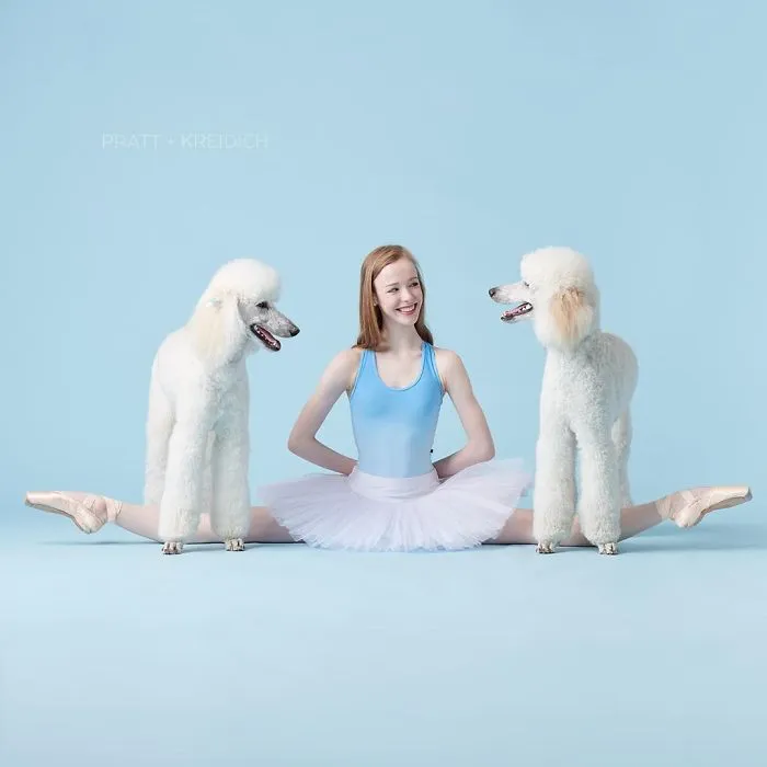 Ballet Dancers And Dogs Pose Together For A Photoshoot And The Result Will Make Your Day (40 Pics)