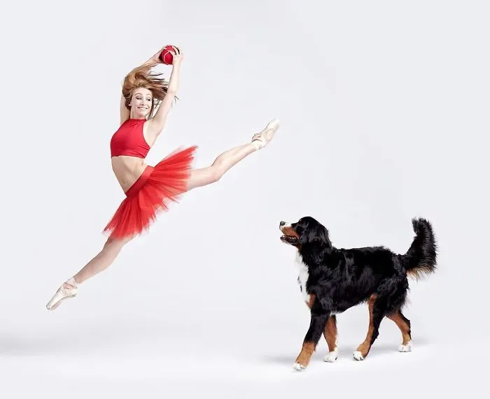 Ballet Dancers And Dogs Pose Together For A Photoshoot And The Result Will Make Your Day (40 Pics)