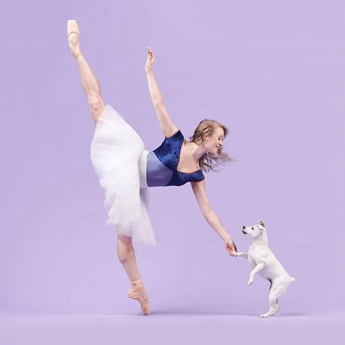 Ballet Dancers And Dogs Pose Together For A Photoshoot And The Result Will Make Your Day (40 Pics)