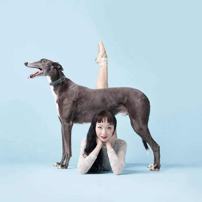 Ballet Dancers And Dogs Pose Together For A Photoshoot And The Result Will Make Your Day (40 Pics)