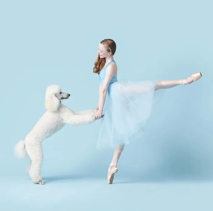 Ballet Dancers And Dogs Pose Together For A Photoshoot And The Result Will Make Your Day (40 Pics)