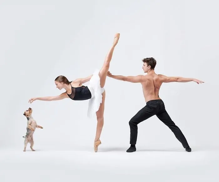 Ballet Dancers And Dogs Pose Together For A Photoshoot And The Result Will Make Your Day (40 Pics)