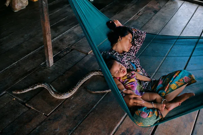 30 Photographs That Explore The Relationship Between Animals And Humans By Steve McCurry