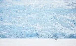 Climate Change Facts