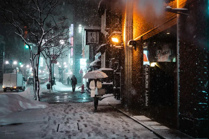 I Spent 3 Weeks In Japan This Winter, Here Are My Best Cyberpunk And Noir Film Inspired Photographs (34 Pics)