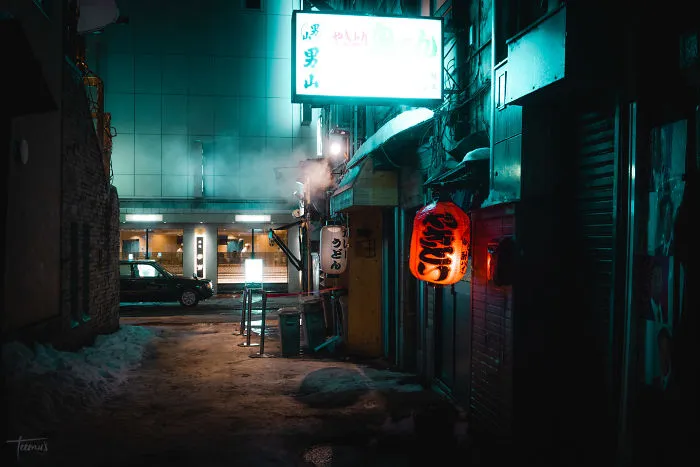 I Spent 3 Weeks In Japan This Winter, Here Are My Best Cyberpunk And Noir Film Inspired Photographs (34 Pics)