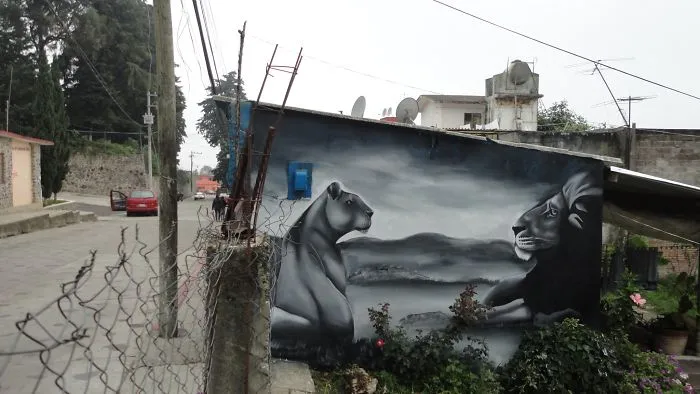 In The Urban Jungle