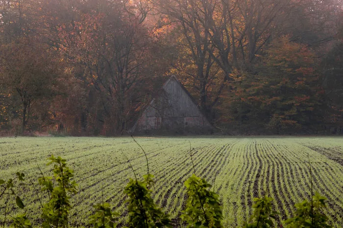 Old Shed Near Tubbergen