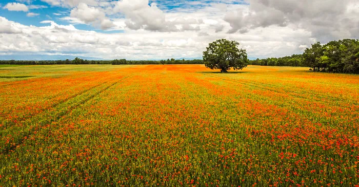 I Want To Show The World In A Different Way, That's Why I Photograph 'Boring' Places With My Drone (40 Pics)