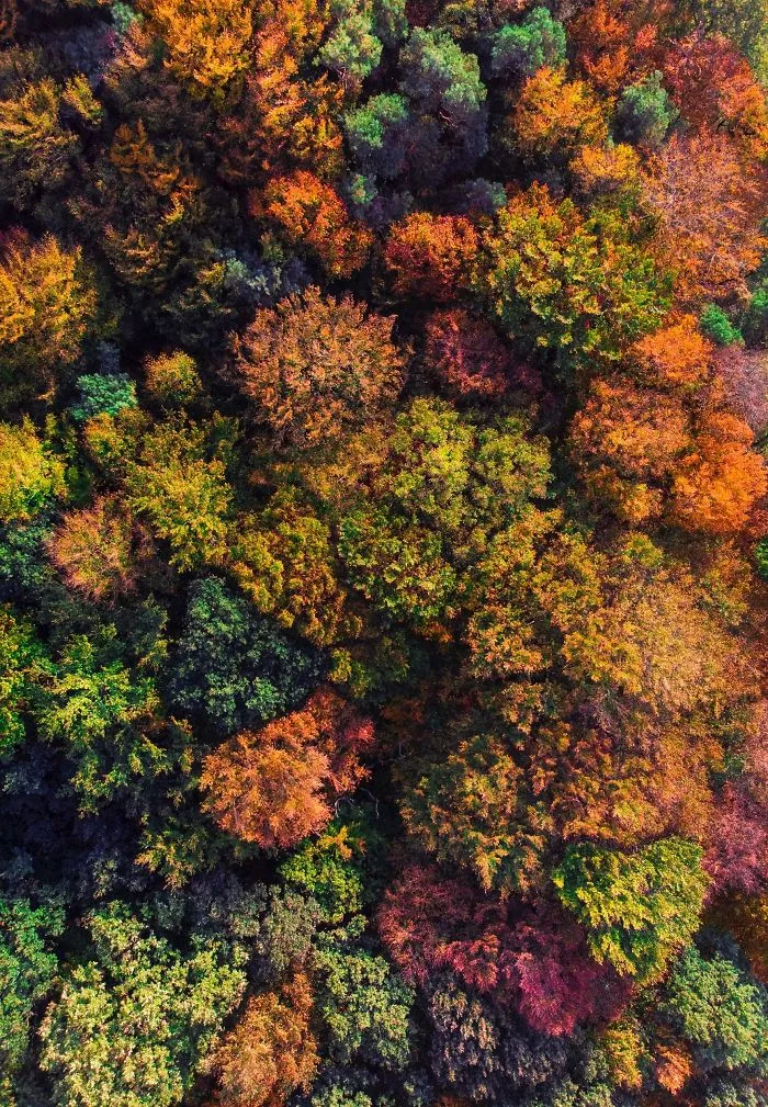 I Want To Show The World In A Different Way, That's Why I Photograph 'Boring' Places With My Drone (40 Pics)