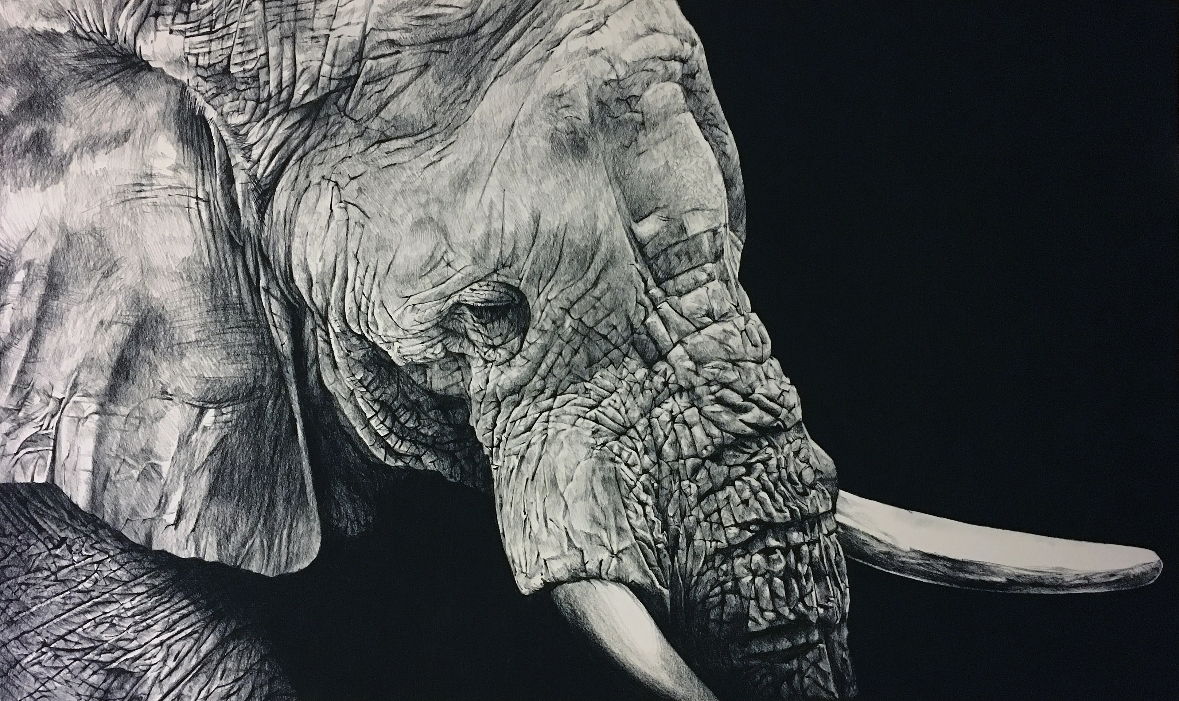 This Is "The Elephant", My Last Hyper Realistic Drawing