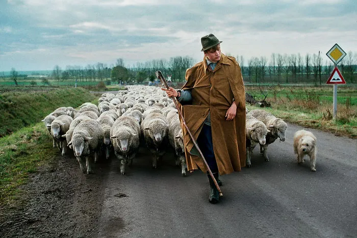 30 Photographs That Explore The Relationship Between Animals And Humans By Steve McCurry