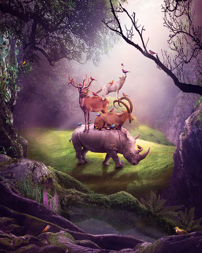 Balance Of Nature