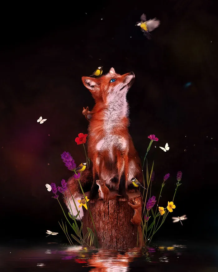 Fur The Future