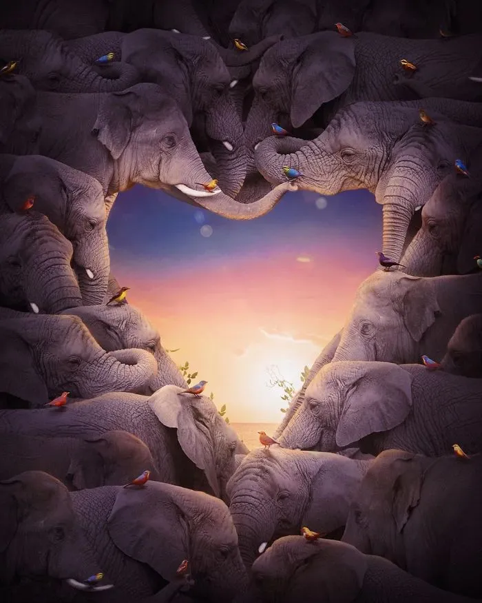 A Wilder Heart
