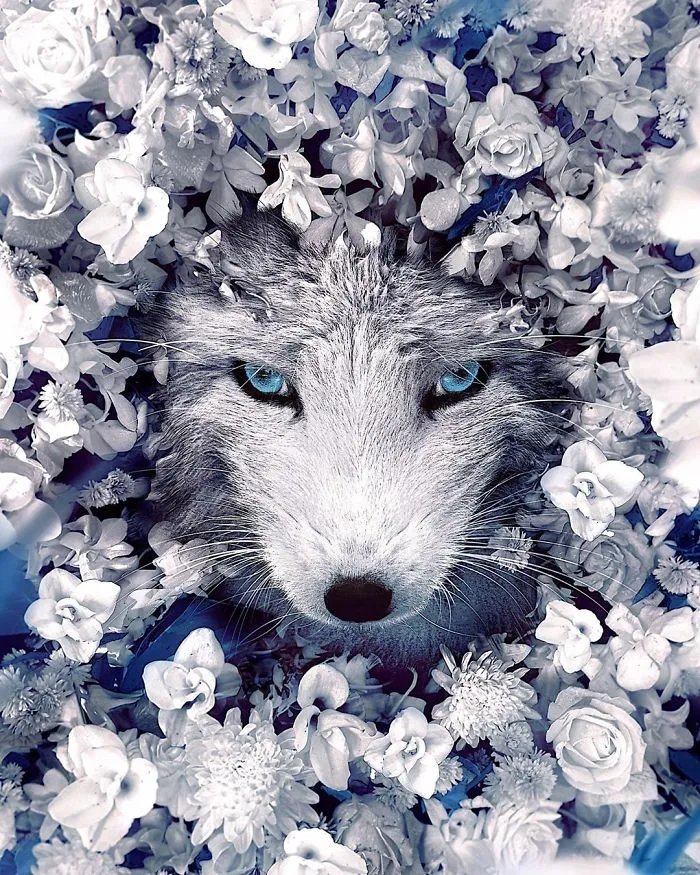 In The White Winter Space, A Perfect Harmony