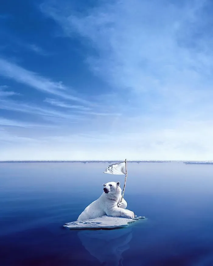 Peace Please