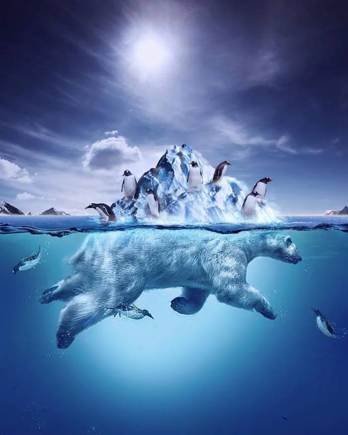 Icebearg