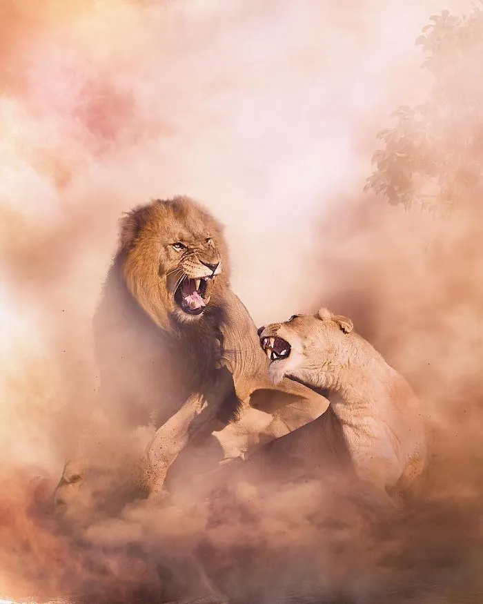 Fighting For Survival
