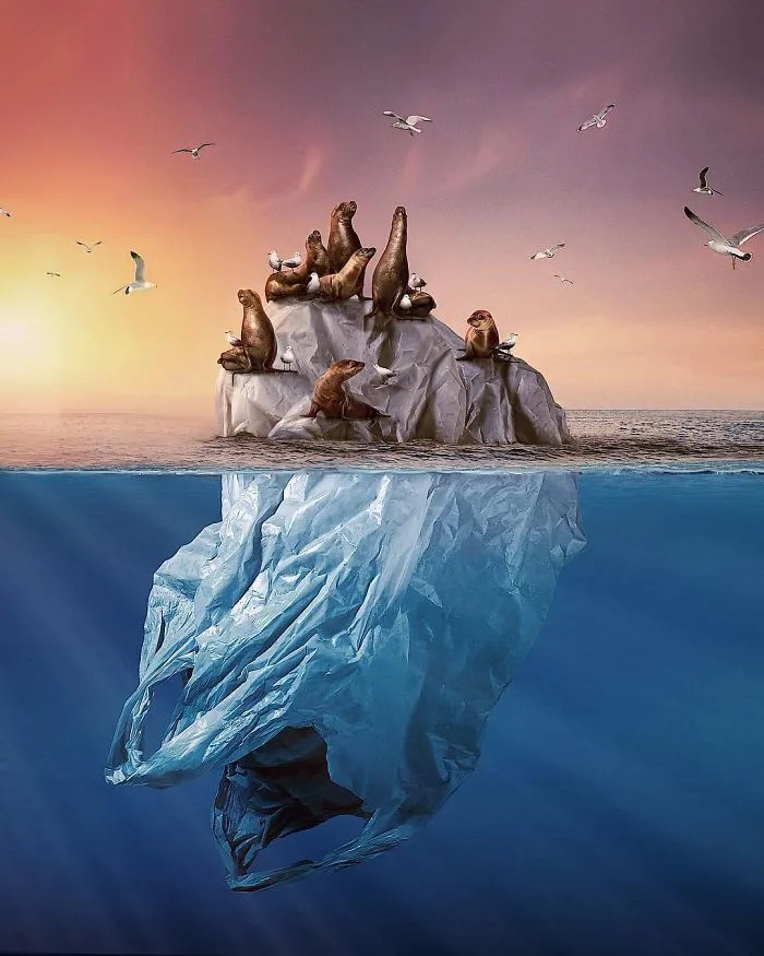 Sea The Future