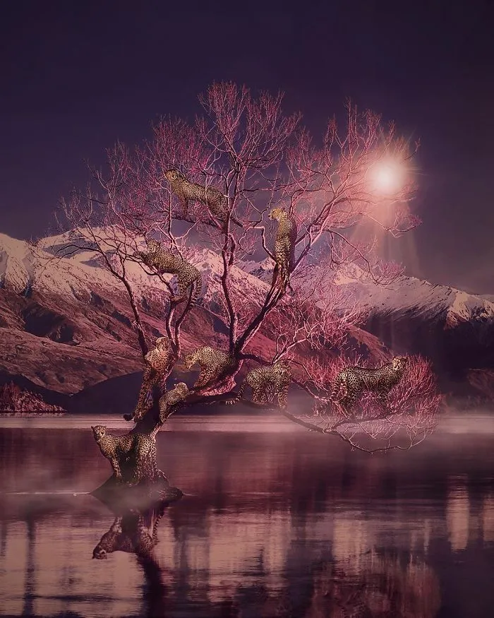 Tree Of Life
