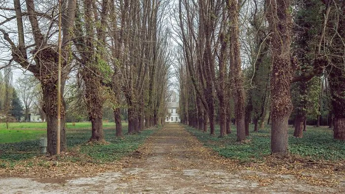 The Last Walk