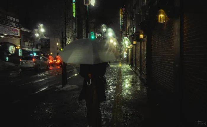 I Spent 3 Weeks In Japan This Winter, Here Are My Best Cyberpunk And Noir Film Inspired Photographs (34 Pics)
