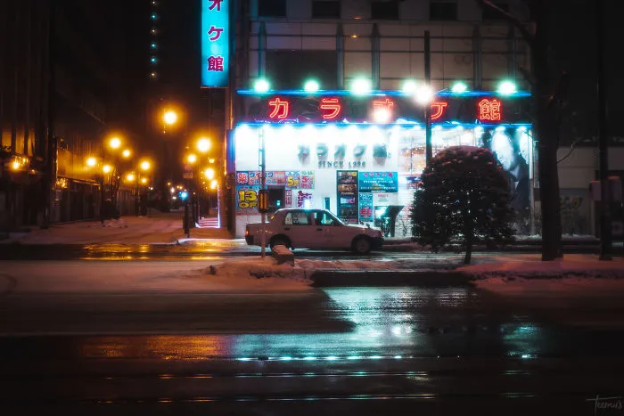 I Spent 3 Weeks In Japan This Winter, Here Are My Best Cyberpunk And Noir Film Inspired Photographs (34 Pics)