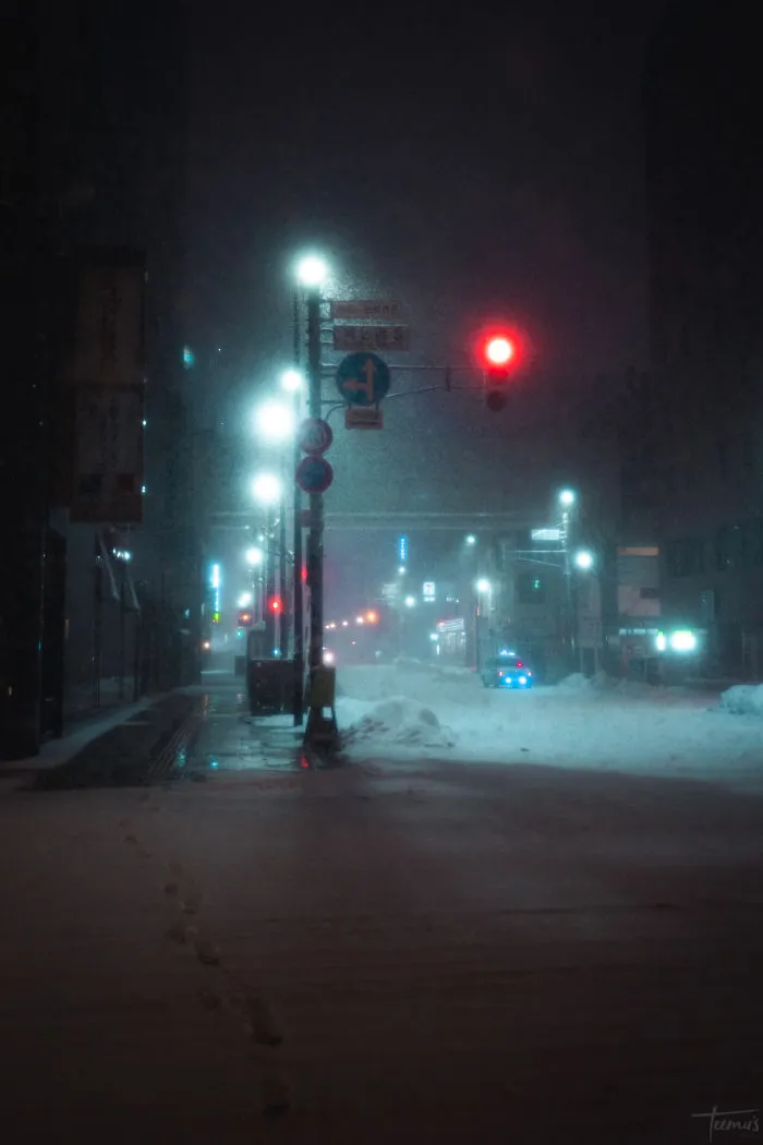 I Spent 3 Weeks In Japan This Winter, Here Are My Best Cyberpunk And Noir Film Inspired Photographs (34 Pics)