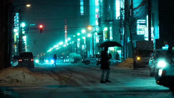 I Spent 3 Weeks In Japan This Winter, Here Are My Best Cyberpunk And Noir Film Inspired Photographs (34 Pics)