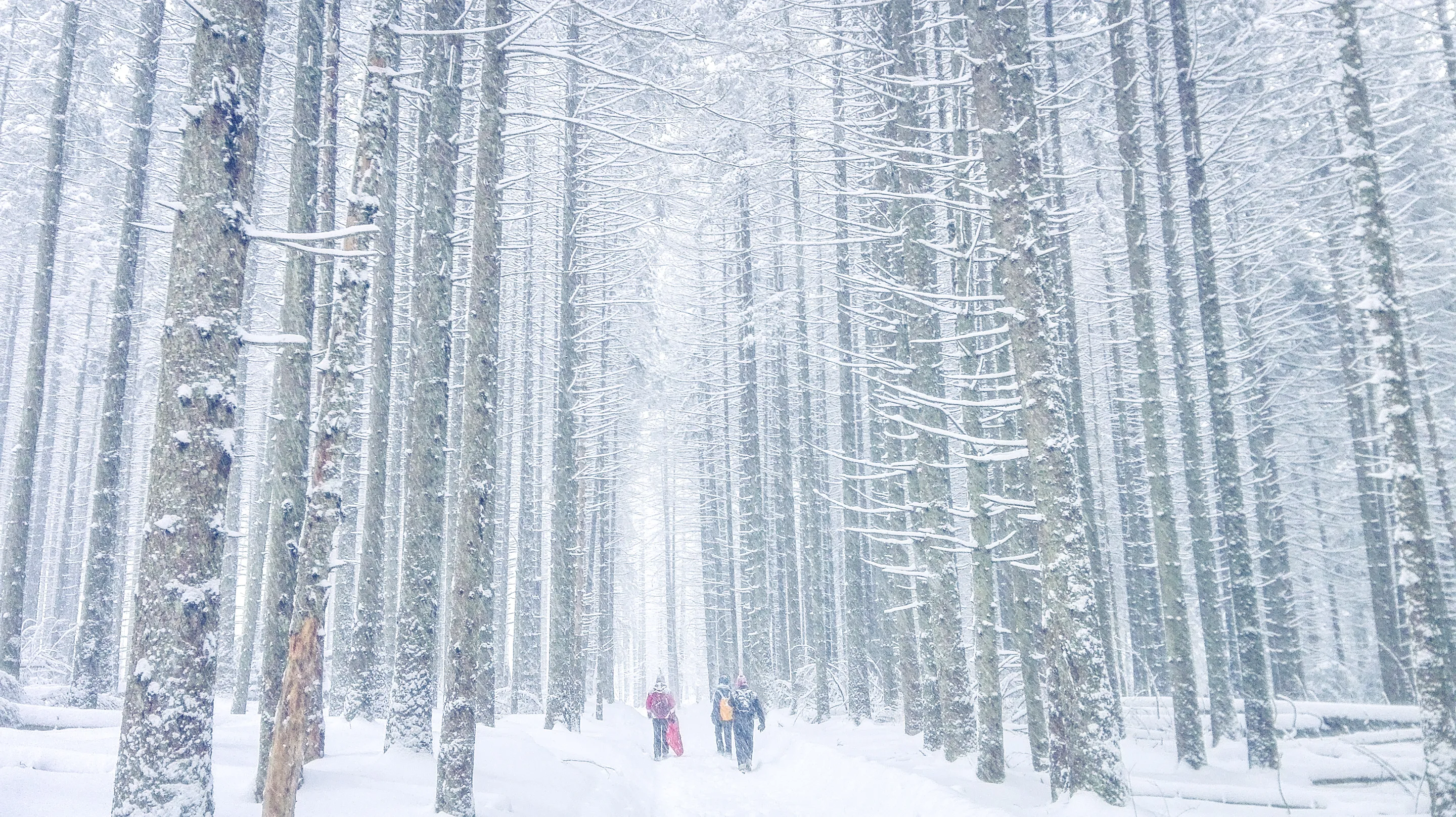 I Tried To Get To This Place Three Winters In A Row And I Never Succeeded.