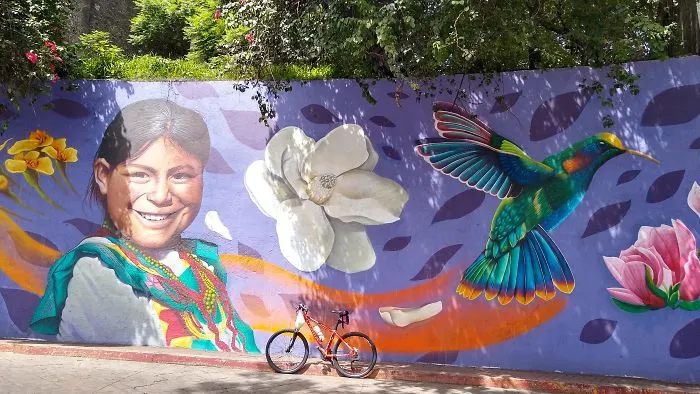 Magic Bike