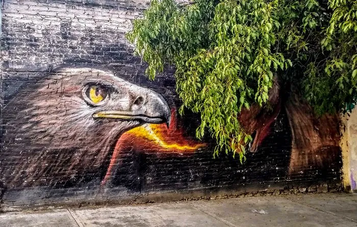 Nest Of Eagles
