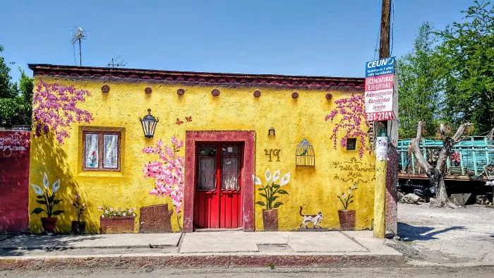 You Can Always Have A Nice House. And Even With A Cat