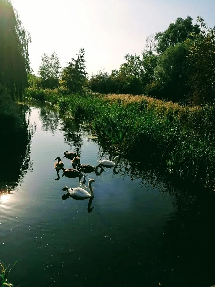 Photographs I Took In The Last 6 Months