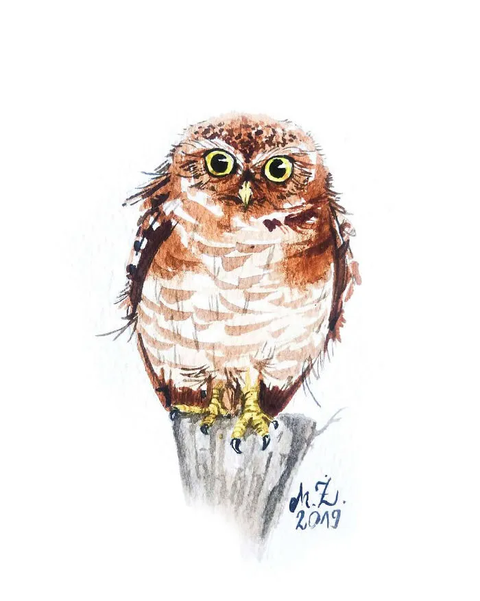 I Painted My First Owl 3 Years Ago, And Haven’t Been Able To Stop Since (25 New Pics)