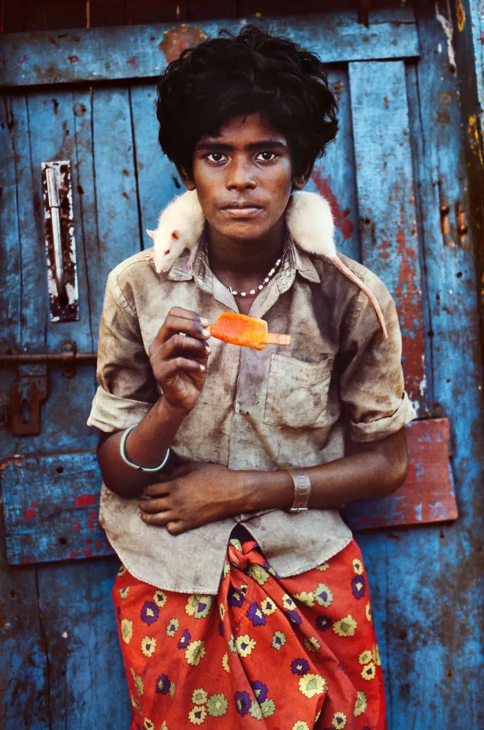 30 Photographs That Explore The Relationship Between Animals And Humans By Steve McCurry