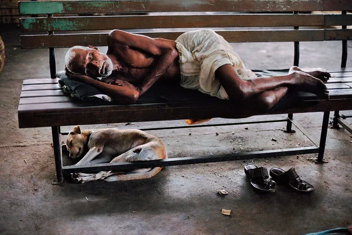 30 Photographs That Explore The Relationship Between Animals And Humans By Steve McCurry