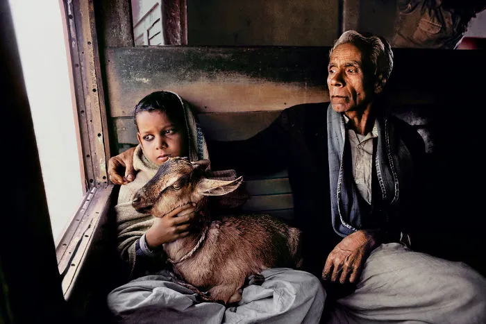 30 Photographs That Explore The Relationship Between Animals And Humans By Steve McCurry