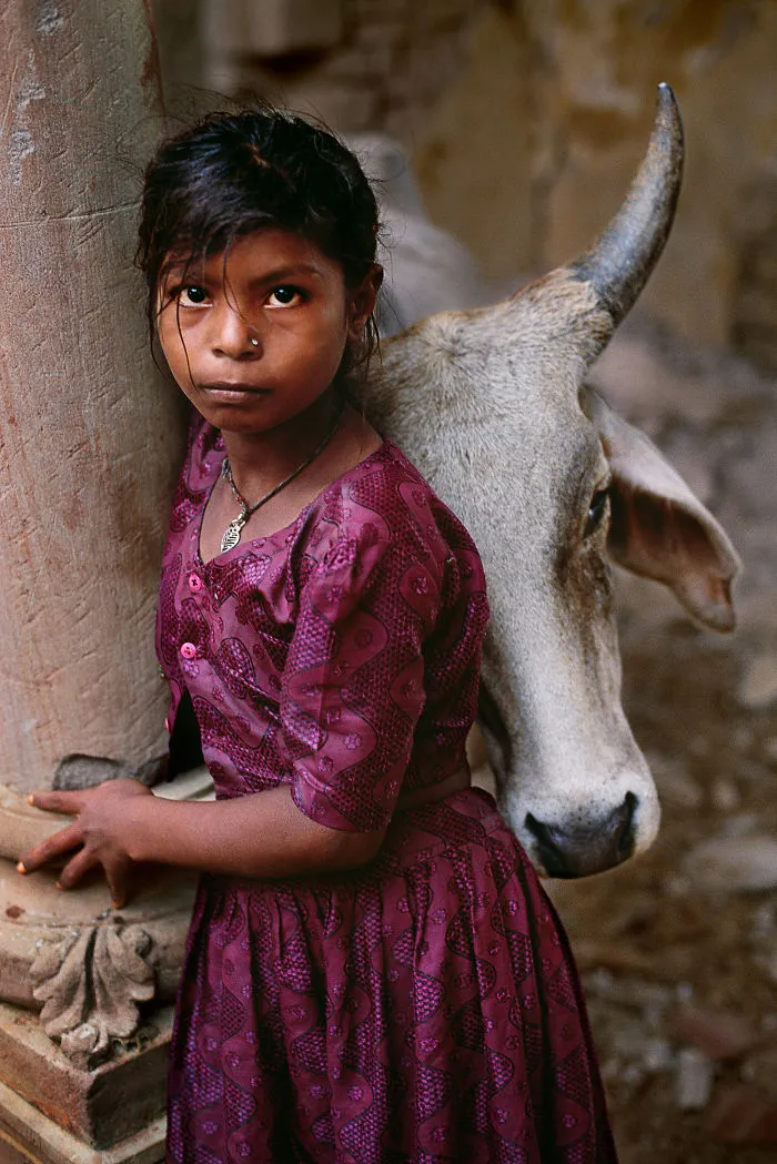 30 Photographs That Explore The Relationship Between Animals And Humans By Steve McCurry