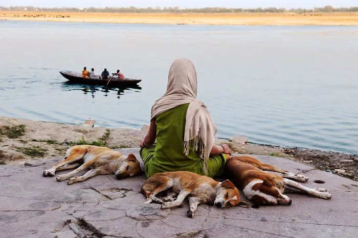 30 Photographs That Explore The Relationship Between Animals And Humans By Steve McCurry