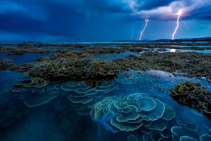 In The Thunderstorm