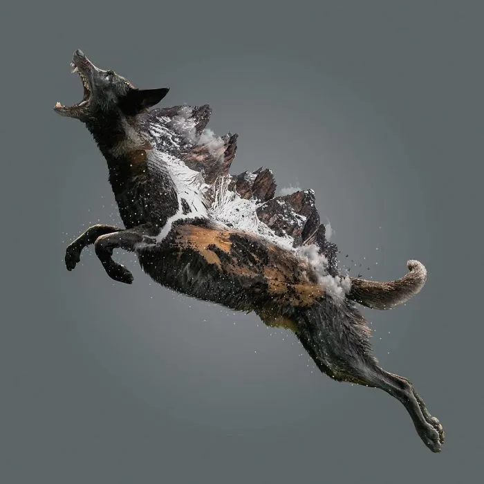 Indonesian Digital Artist Aditya Aryanto Photoshops Animals Into Surreal, Silly, And Unexpected Situations (50 Pics)