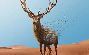 Indonesian Digital Artist Aditya Aryanto Photoshops Animals Into Surreal, Silly, And Unexpected Situations (50 Pics)