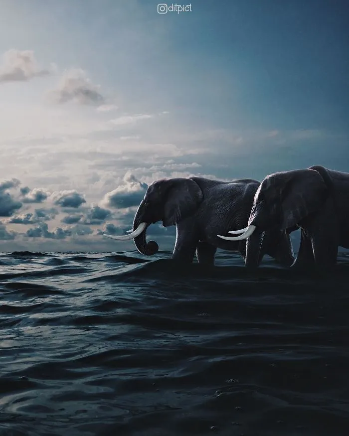 Indonesian Digital Artist Aditya Aryanto Photoshops Animals Into Surreal, Silly, And Unexpected Situations (50 Pics)