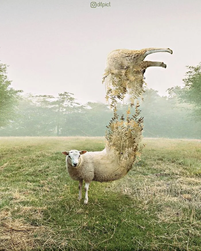 Indonesian Digital Artist Aditya Aryanto Photoshops Animals Into Surreal, Silly, And Unexpected Situations (50 Pics)